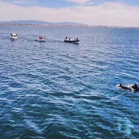 Rhodes By Algarve Vacation Διαμέρισμα Αλμπουφέιρα