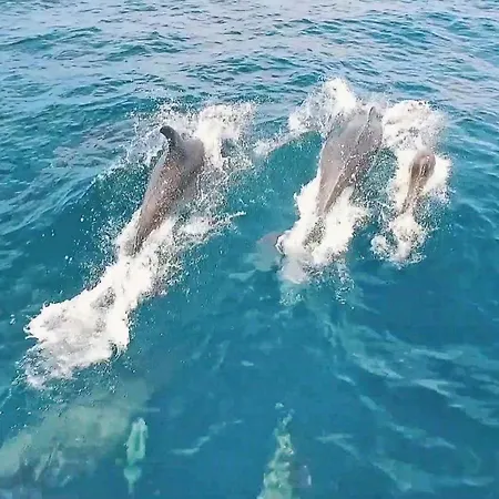 Rhodes By Algarve Vacation *